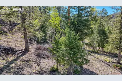 56 Fir Lane, Florissant, CO 80816 - Photo 32