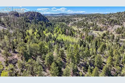 56 Fir Lane, Florissant, CO 80816 - Photo 14