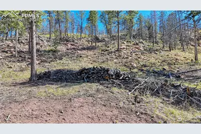 56 Fir Lane, Florissant, CO 80816 - Photo 20