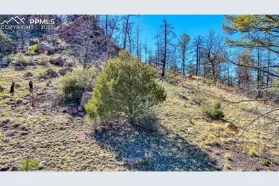 56 Fir Lane, Florissant, CO 80816 - Photo 30