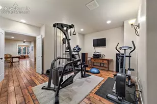 4450 Walker Ridge VW, Colorado Springs, CO 80908 - Photo 38