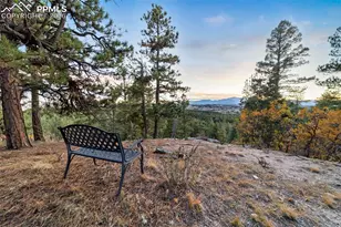 4450 Walker Ridge VW, Colorado Springs, CO 80908 - Photo 50