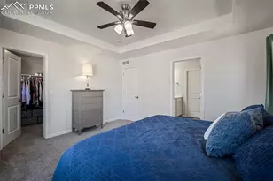 1334 Promontory Crest View, Colorado Springs, CO 80921 - Photo 22