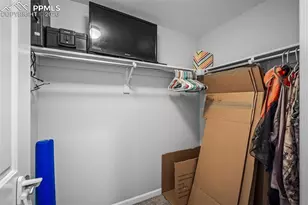 1334 Promontory Crest View, Colorado Springs, CO 80921 - Photo 42