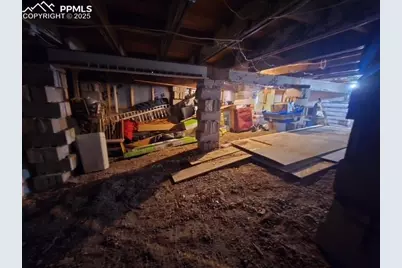 399 Saguache Drive, Florissant, CO 80816 - Photo 26