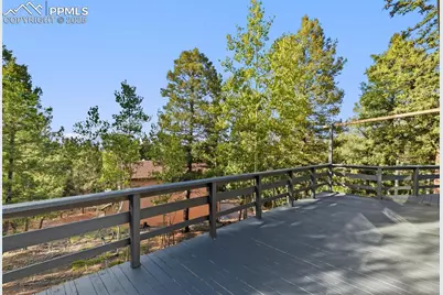 399 Saguache Drive, Florissant, CO 80816 - Photo 22