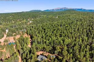 399 Saguache Dr, Florissant, CO 80816 - Photo 34