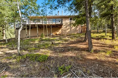 399 Saguache Drive, Florissant, CO 80816 - Photo 30