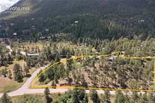 9340 Columbine Trail, Cascade, CO 80809 - Photo 4