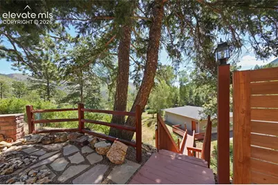 9340 Columbine Trail, Cascade, CO 80809 - Photo 48