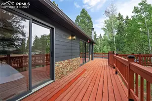 57 Aspen Cir, Divide, CO 80814 - Photo 50