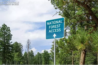 57 Aspen Circle, Divide, CO 80814 - Photo 42