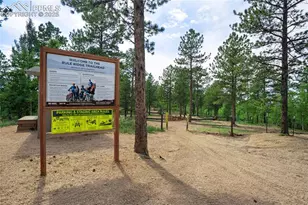 57 Aspen Cir, Divide, CO 80814 - Photo 40