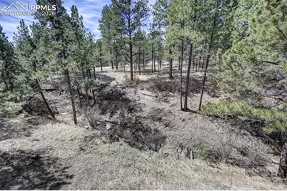 18320 Sloan Lane, Monument, CO 80132 - Photo 38