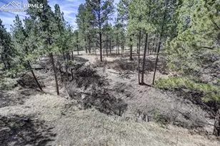 18320 Sloan Ln, Monument, CO 80132 - Photo 38