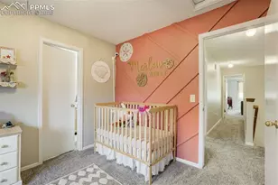 2087 Hibbard Ln, Fountain, CO 80817 - Photo 36