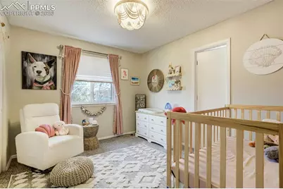 2087 Hibbard Lane, Fountain, CO 80817 - Photo 36