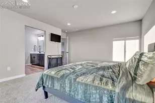 369 Indian Grass St, Calhan, CO 80808 - Photo 28