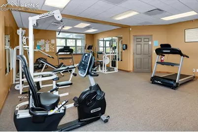 7653 Crested Jay Point, Colorado Springs, CO 80922 - Photo 30