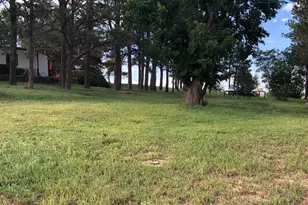 6597 S Hwy 83, Franktown, CO 80116 - Photo 4