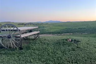 6597 S Hwy 83, Franktown, CO 80116 - Photo 40