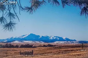 6597 S Hwy 83, Franktown, CO 80116 - Photo 14