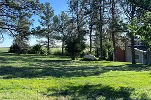 6597 S Hwy 83, Franktown, CO 80116 - Photo 44