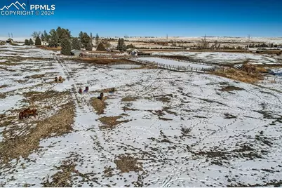6597 S Highway 83, Franktown, CO 80116 - Photo 8