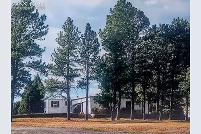 6597 S Highway 83, Franktown, CO 80116 - Photo 30