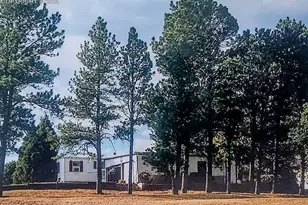 6597 S Hwy 83, Franktown, CO 80116 - Photo 30