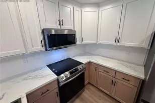 1307 Hartford St, Colorado Springs, CO 80906 - Photo 8