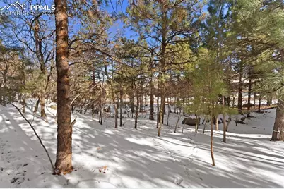 5960 Buttermere Drive, Colorado Springs, CO 80906 - Photo 20