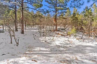 5960 Buttermere Drive, Colorado Springs, CO 80906 - Photo 24