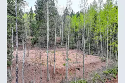 416 Willow Road, Divide, CO 80814 - Photo 8