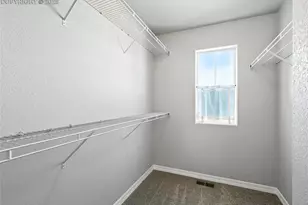 6222 Barr Pt, Colorado Springs, CO 80924 - Photo 22