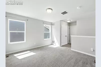 6222 Barr Point, Colorado Springs, CO 80924 - Photo 34