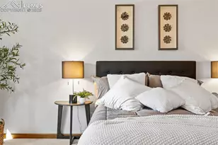 6018 N Villard Ct, Parker, CO 80134 - Photo 28