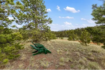 996 Spring Valley Drive, Divide, CO 80814 - Photo 6