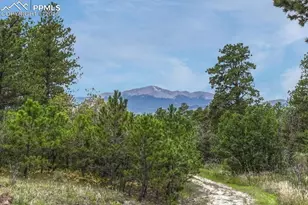 10625 Milam Rd, Colorado Springs, CO 80908 - Photo 2