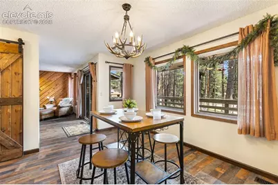 723 Pine Street, Woodland Park, CO 80863 - Photo 18