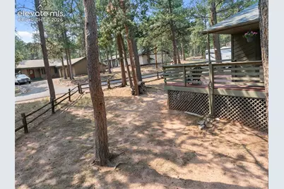 723 Pine Street, Woodland Park, CO 80863 - Photo 46