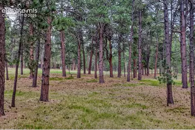 14225 Ponderosa Road, Colorado Springs, CO 80908 - Photo 44