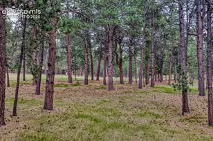 14225 Ponderosa Rd, Colorado Springs, CO 80908 - Photo 44