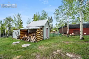 33 Maid Marian Dr, Divide, CO 80814 - Photo 20
