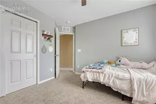 7357 Brush Hollow Dr, Fountain, CO 80817 - Photo 22