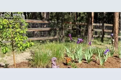 20320 Roaming Drive, Colorado Springs, CO 80908 - Photo 42