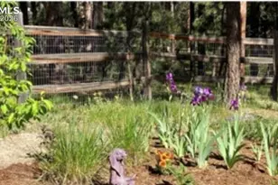 20320 Roaming Dr, Colorado Springs, CO 80908 - Photo 42