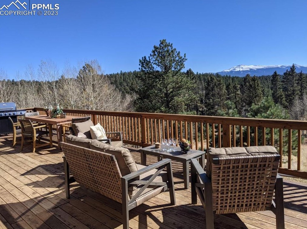 762 Spring Creek Dr, Divide, CO 80814-8113