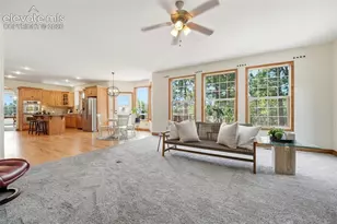 17255 Lamplight Dr, Monument, CO 80132 - Photo 10