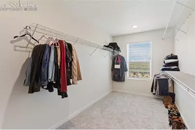 8246 Nutterbutter Point, Colorado Springs, CO 80925 - Photo 20